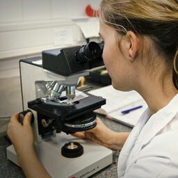 Frau im Labor schaut durch ein Mikroskop